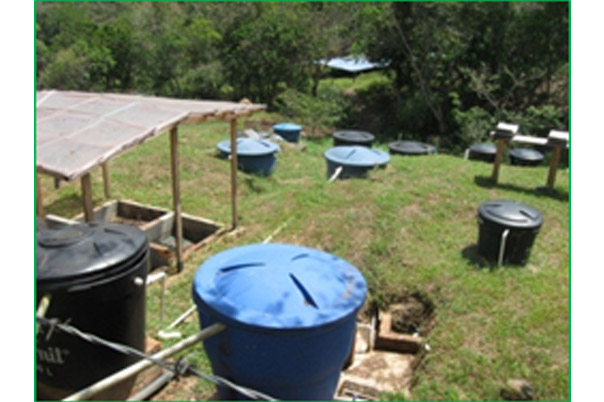 Diagnóstico  del tratamiento de aguas residuales mediante los sistemas cenicafé majavita del beneficio ecológico del café con módulo becolsub en la hacienda majavita