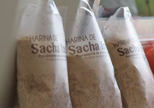 Sacha inchi, alternativa nutricional y competitiva para municipio colombiano 